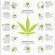 The Medical Marijuana Cover Up
