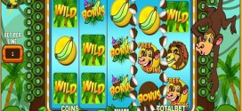 Spinia Spielbank Erfahrungen, 250 Fruitland Slot Free Spins, 50 Freispiele Im Untersuchung